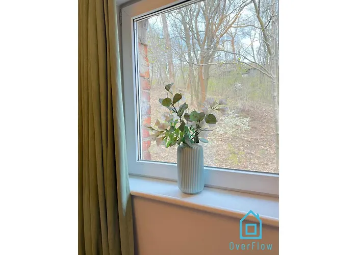 民宿 Stary Giraffe